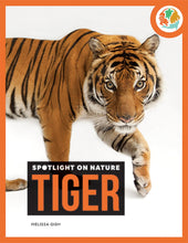 Laden Sie das Bild in den Galerie-Viewer, Die Natur im Rampenlicht: Tiger
