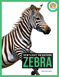 Die Natur im Rampenlicht: Zebra