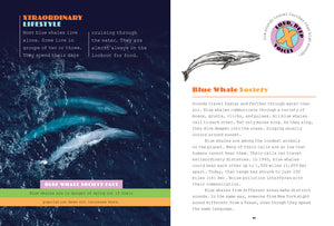 X-Books: Marine Mammals: Blue Whales