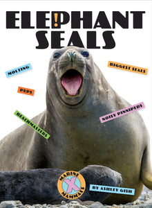 X-Books: Marine Mammals: Elephant Seals