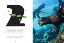 Laden Sie das Bild in den Galerie-Viewer, X-Books: Meeressäugetiere: Seelöwen
