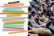 Laden Sie das Bild in den Galerie-Viewer, X-Books: Meeressäugetiere: Seelöwen
