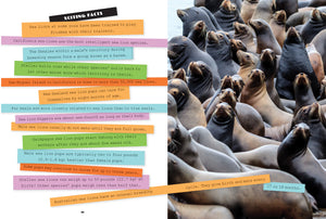 X-Books: Marine Mammals: Sea Lions