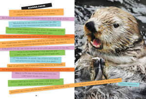 X-Books: Marine Mammals: Sea Otters