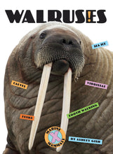 Laden Sie das Bild in den Galerie-Viewer, X-Books: Meeressäugetiere: Walrosse
