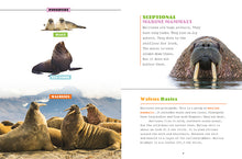 Laden Sie das Bild in den Galerie-Viewer, X-Books: Meeressäugetiere: Walrosse
