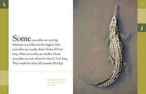 Erstaunliche Tiere (2022): Krokodile