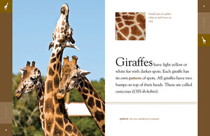 Amazing Animals (2022): Giraffes