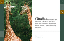 Laden Sie das Bild in den Galerie-Viewer, Erstaunliche Tiere (2022): Giraffen
