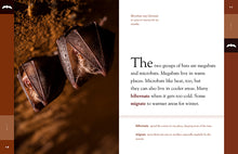 Laden Sie das Bild in den Galerie-Viewer, Erstaunliche Tiere (2022): Fledermäuse
