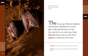 Amazing Animals (2022): Bats