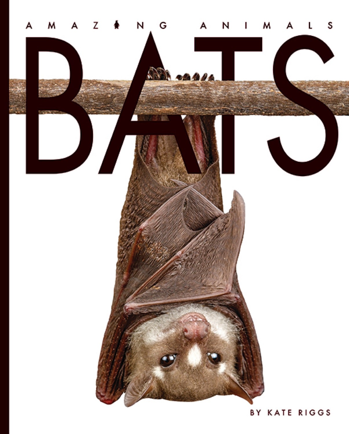 Amazing Animals (2022): Bats