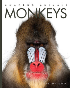 Amazing Animals (2022): Monkeys