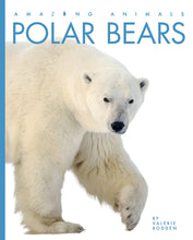 Laden Sie das Bild in den Galerie-Viewer, Erstaunliche Tiere (2022): Eisbären
