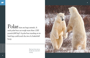 Erstaunliche Tiere (2022): Eisbären