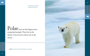 Amazing Animals (2022): Polar Bears