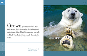 Amazing Animals (2022): Polar Bears