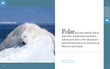 Laden Sie das Bild in den Galerie-Viewer, Erstaunliche Tiere (2022): Eisbären
