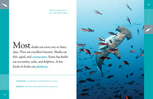 Erstaunliche Tiere (2022): Haie
