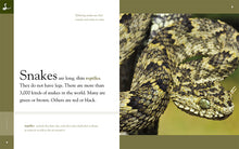 Laden Sie das Bild in den Galerie-Viewer, Erstaunliche Tiere (2022): Schlangen
