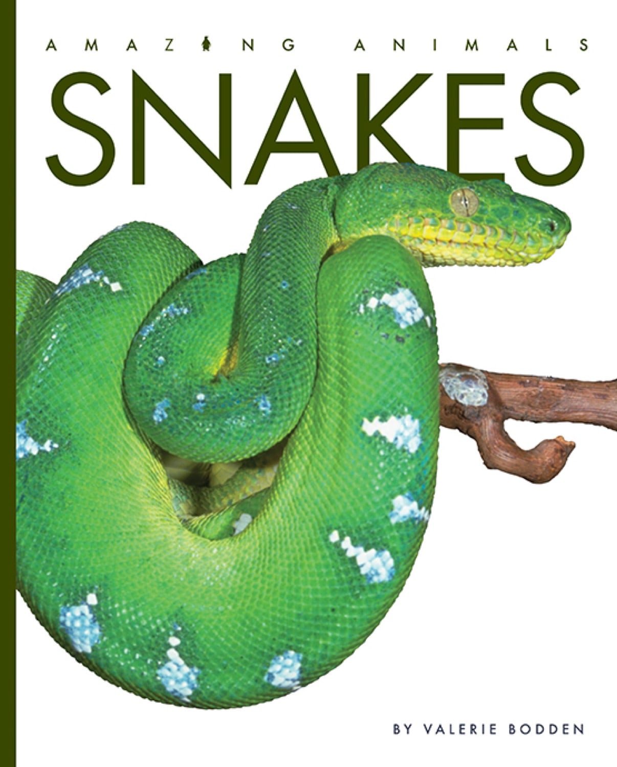 Amazing Animals (2022): Snakes