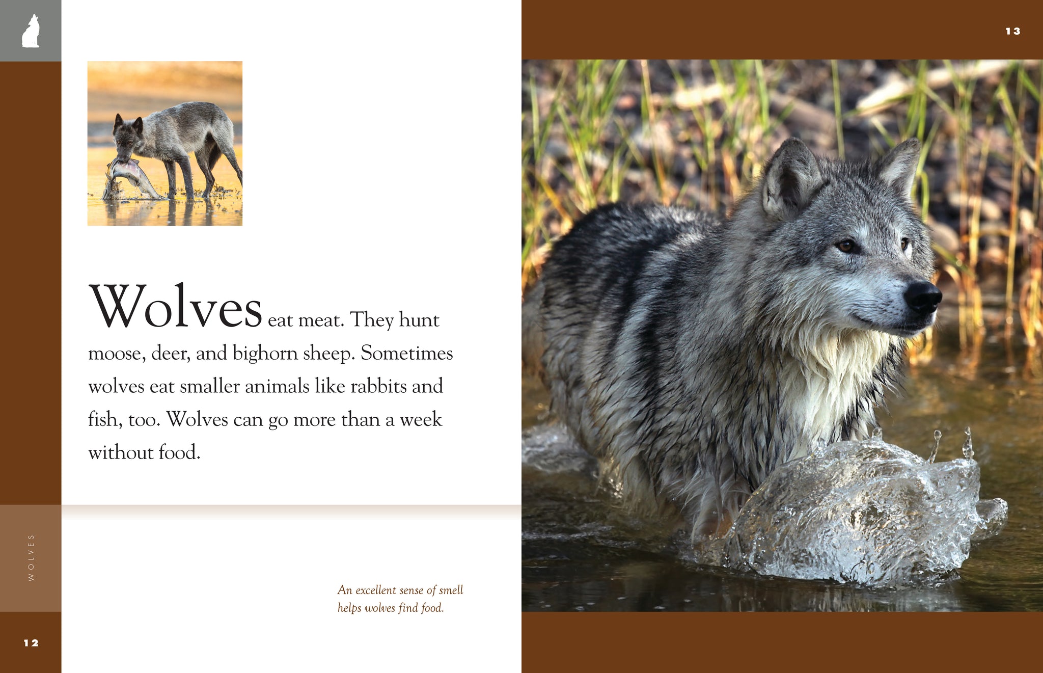 その他 Nature: Extraordinary Animals: Bears &amp; Wolves [Blu-ray] Nature: Extraordinary Animals: Bears & Wolves (Blu-ray