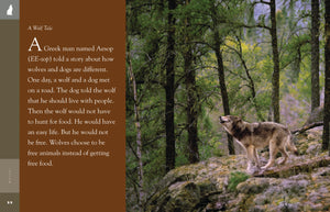 Amazing Animals (2022): Wolves