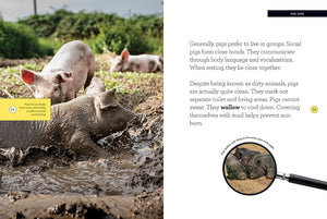 Grow with Me: Pigs
