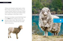 Laden Sie das Bild in den Galerie-Viewer, Wachse mit mir: Schafe
