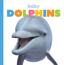 Laden Sie das Bild in den Galerie-Viewer, Der Anfang: Baby-Delfine
