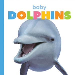 Starting Out: Baby Dolphins