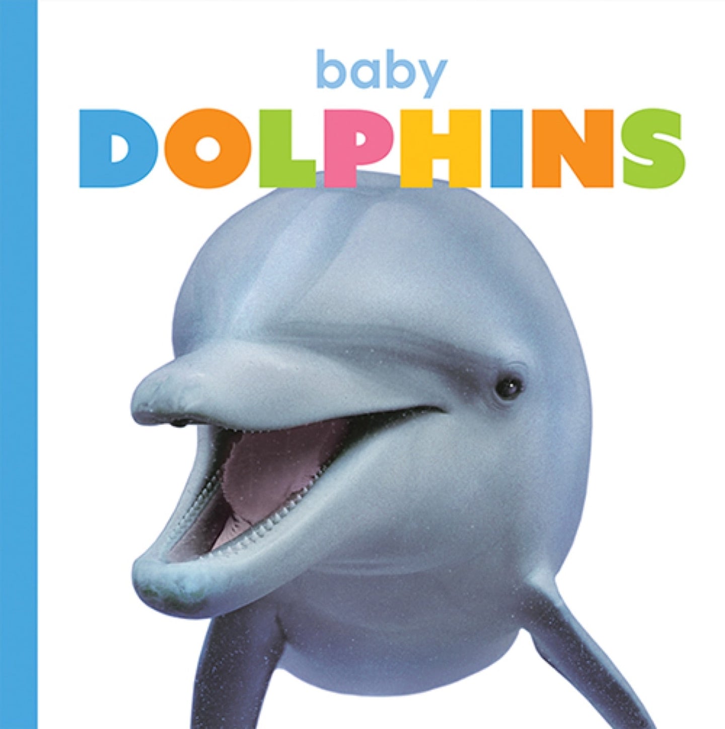 Der Anfang: Baby-Delfine