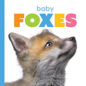 Starting Out: Baby Foxes