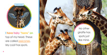Laden Sie das Bild in den Galerie-Viewer, Der Anfang: Baby-Giraffen
