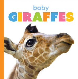 Starting Out: Baby Giraffes