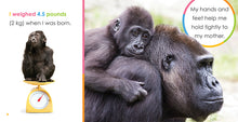 Laden Sie das Bild in den Galerie-Viewer, Der Anfang: Baby-Gorillas
