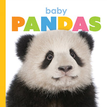Laden Sie das Bild in den Galerie-Viewer, Der Anfang: Baby-Pandas
