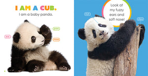 Der Anfang: Baby-Pandas