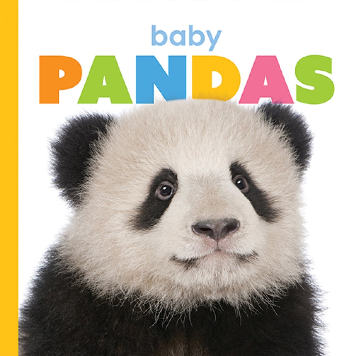 Der Anfang: Baby-Pandas