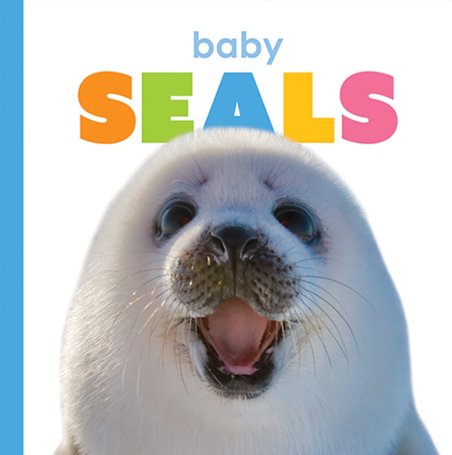 Starting Out: Baby Seals