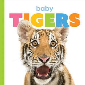 Starting Out: Baby Tigers