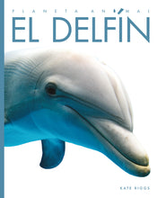 Laden Sie das Bild in den Galerie-Viewer, Planeta animal (2022): El delfín
