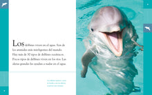 Laden Sie das Bild in den Galerie-Viewer, Planeta animal (2022): El delfín
