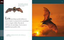 Laden Sie das Bild in den Galerie-Viewer, Planeta animal (2022): El murciélago
