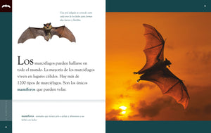Planeta animal (2022): El murciélago