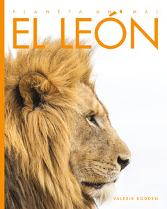 Planeta animal (2022): El león