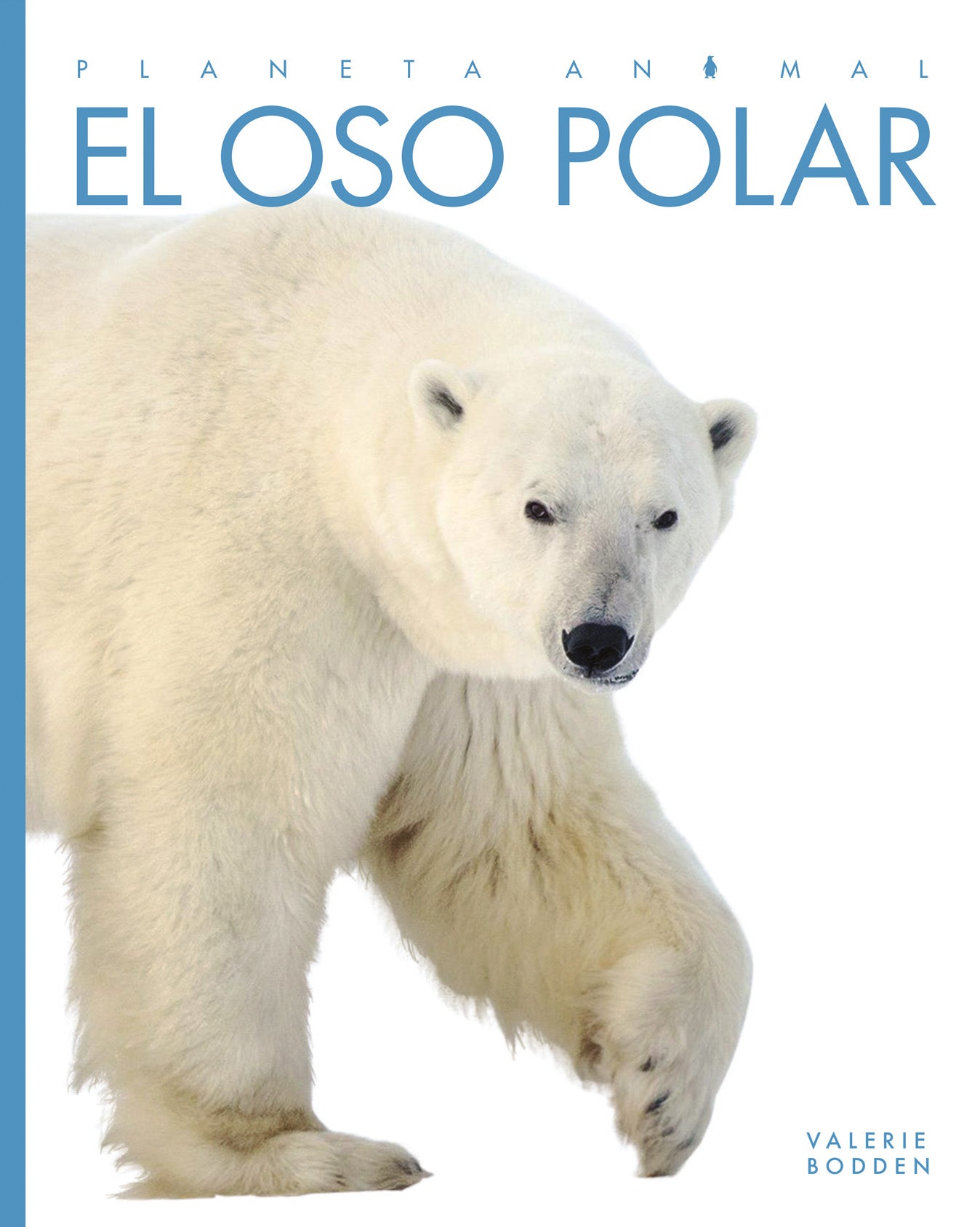 Osito panda (Spanish Edition)