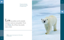Laden Sie das Bild in den Galerie-Viewer, Planeta-Tier (2022): El oso polar
