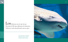 Laden Sie das Bild in den Galerie-Viewer, Planeta animal (2022): El tiburón
