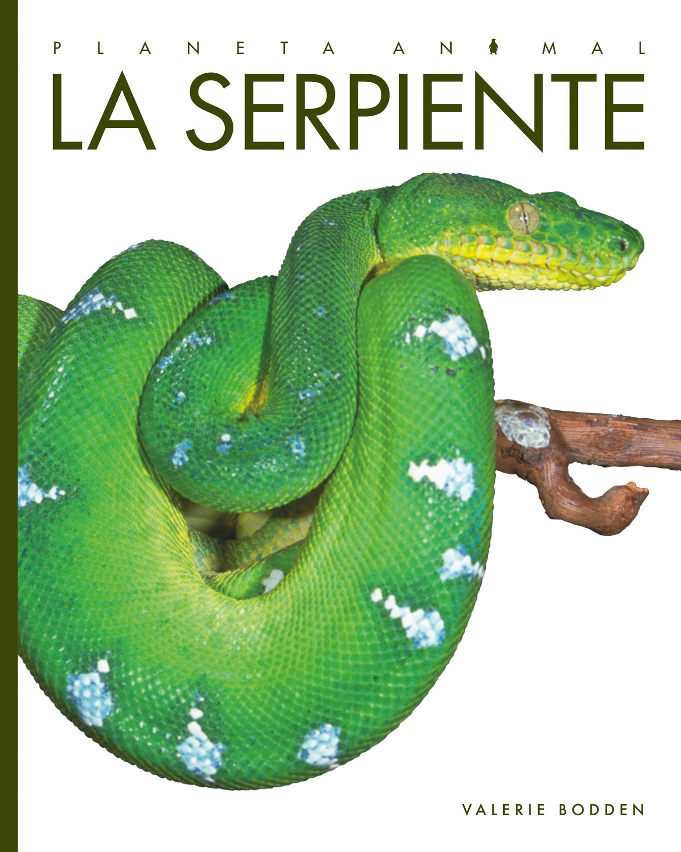 Planeta animal (2022): La serpiente